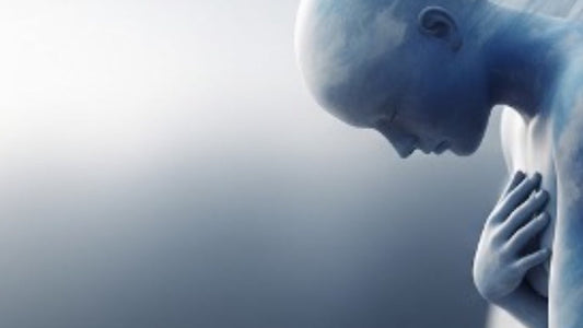 The Physiology of Grief: What Happens in the Body After Loss