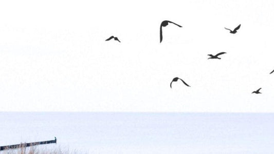 If You Are Grieving: What You’re Feeling Makes Sense