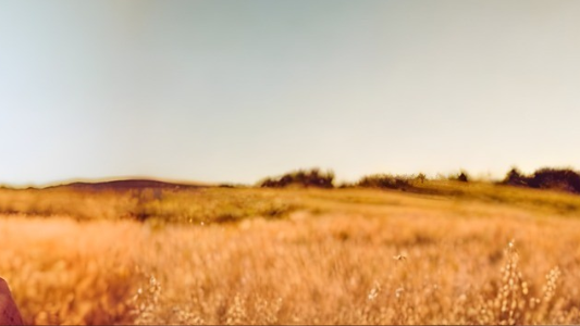 When a Loved One Dies: A Compassionate Guide to Managing the Estate Settlement