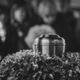offering image